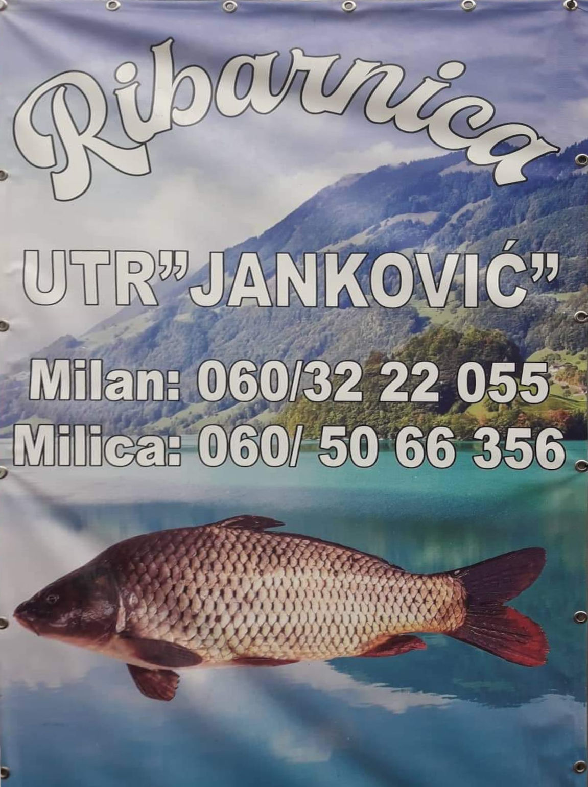Ribarnica Jankovic, Ljig